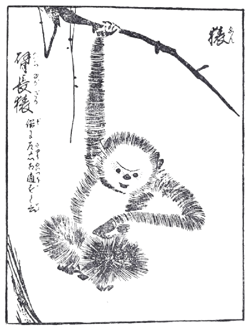 Japanese woodblock print of a cute monkey hanging from a branch.