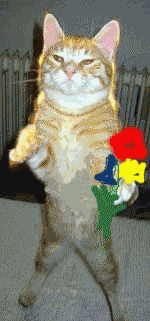 A cat with flowers.