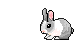 Animation of a bunny hopping across the page.
