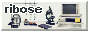 A grey classic web banner with a computer pictured. Text reads: 'ribose'.