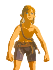 An image of a shirtless Link from Breath of the Wild.