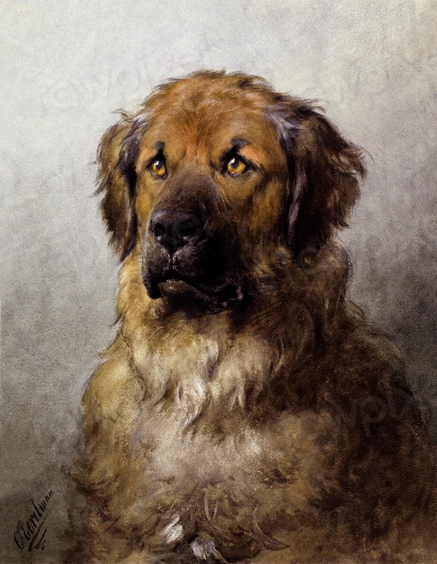 A painting of the bust of a dog with piercing, golden eyes.