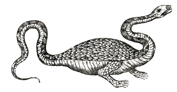 A woodcut of a dragon.
