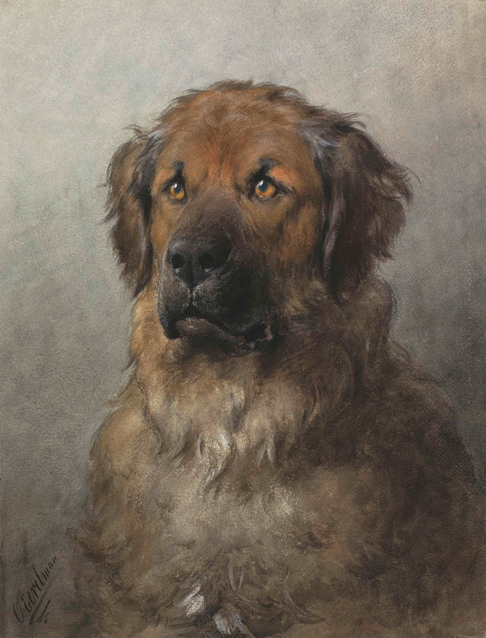 A painting of the bust of a dog with piercing, golden eyes.