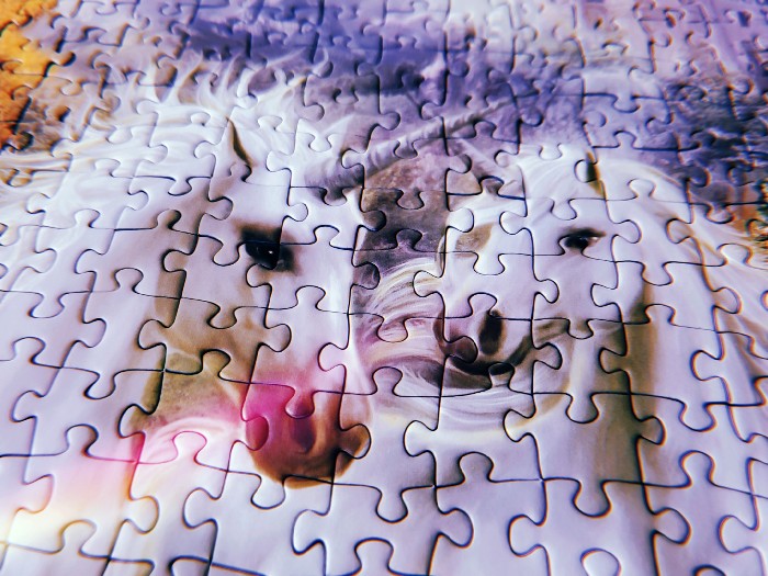 A close up photo of puzzle pieces making up the faces of two unicorns.